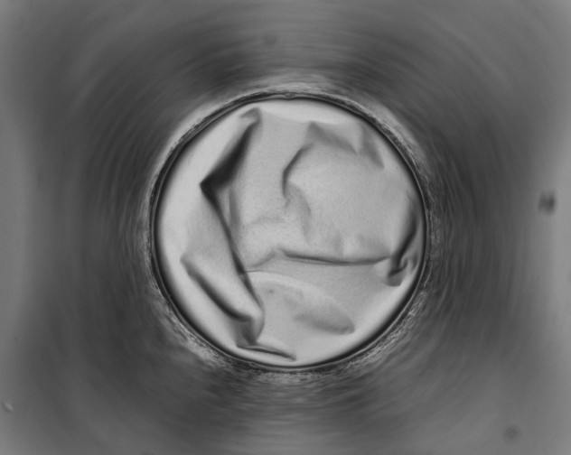 X0000099941240200806201113