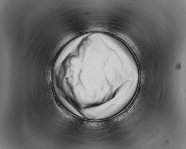 X0000099941241200806201113