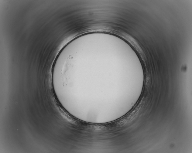 X0000099941242200806201113