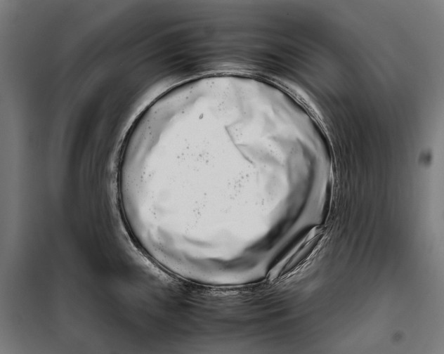 X0000099941243200806201113