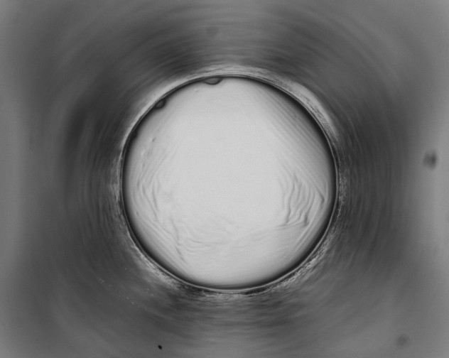 X0000099941244200806201113