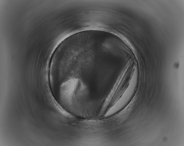 X0000099941246200806201113