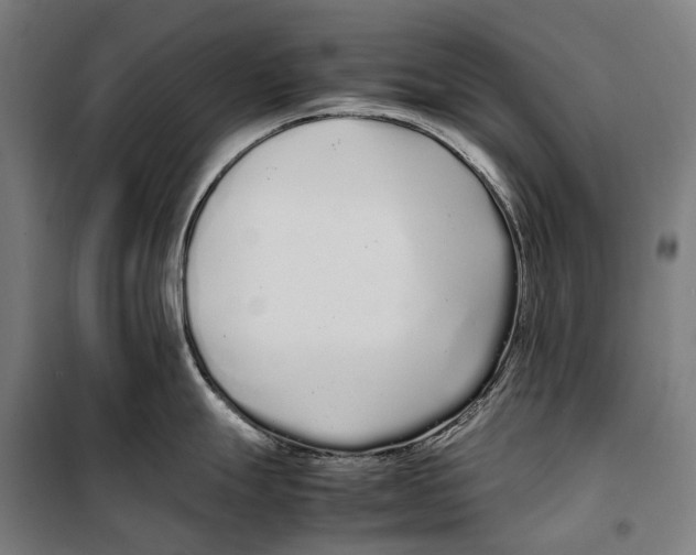 X0000099941247200806201113