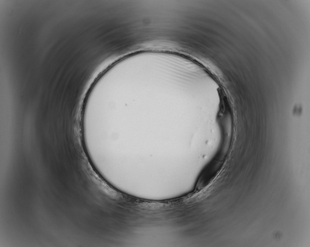 X0000099941248200806201113