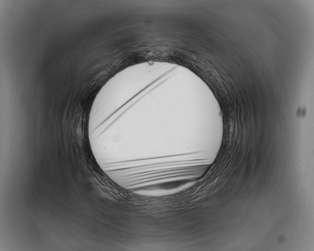 X0000099941250200806201112