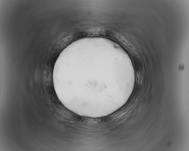 X0000099941251200806201112
