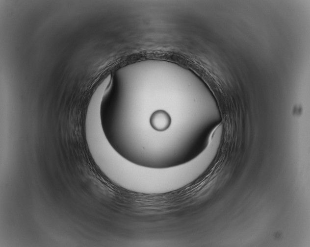 X0000099941252200806201112