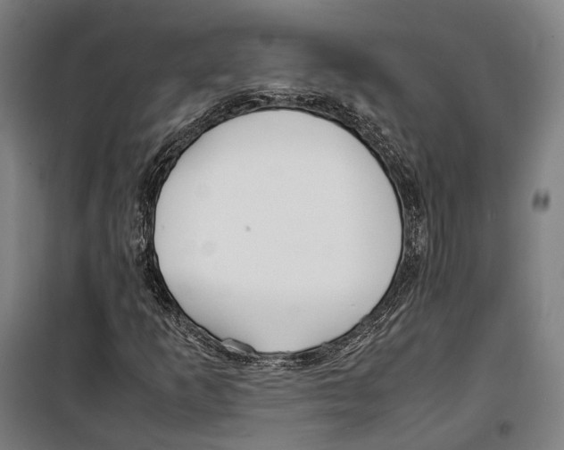X0000099941253200806201112