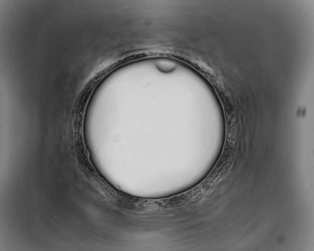 X0000099941255200806201112