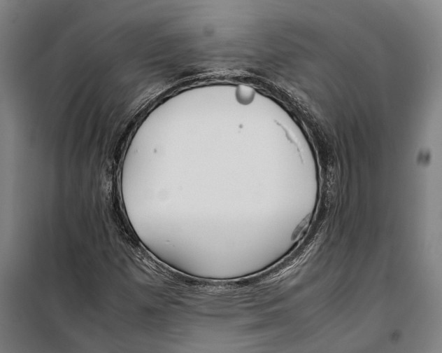 X0000099941257200806201112