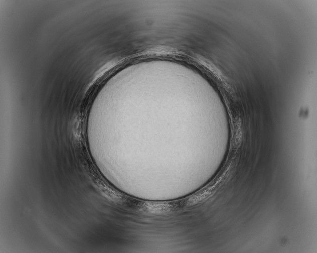 X0000099941258200806201112