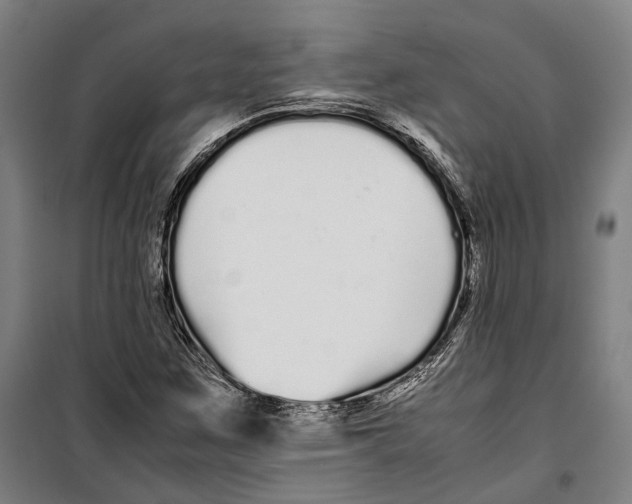 X0000099941259200806201112