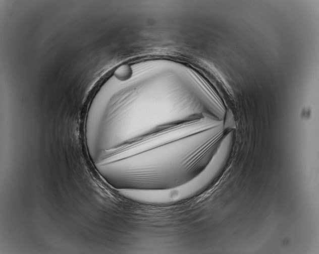 X0000099941260200806201112