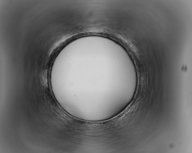 X0000099941262200806201112