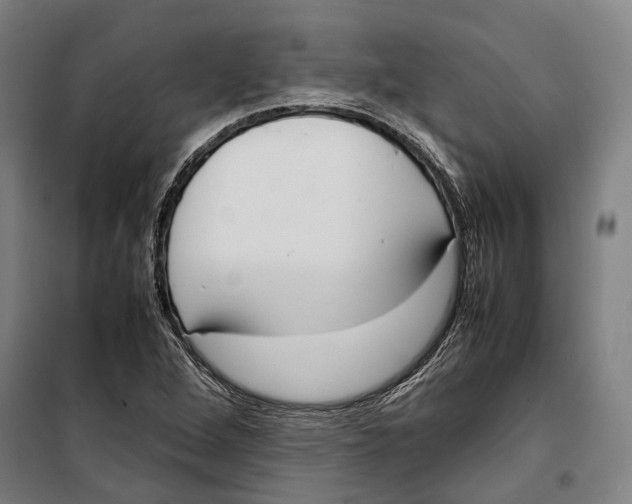 X0000099941264200806201112
