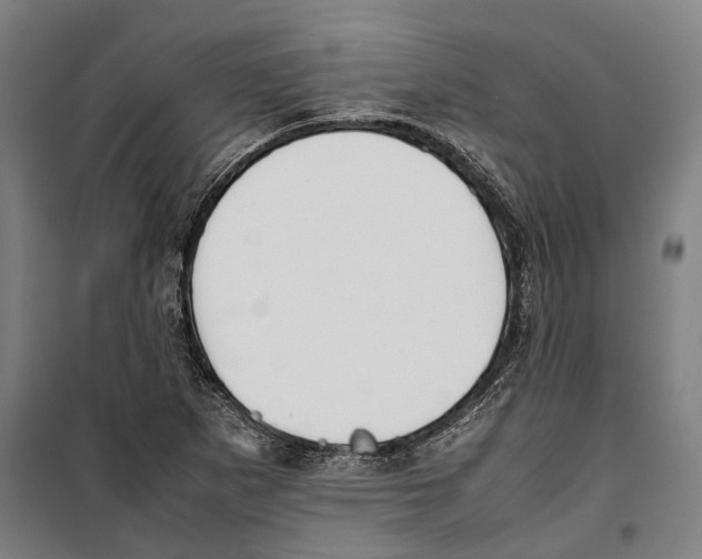 X0000099941265200806201112