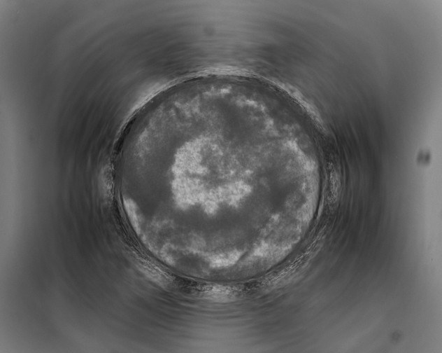 X0000099941266200806201112
