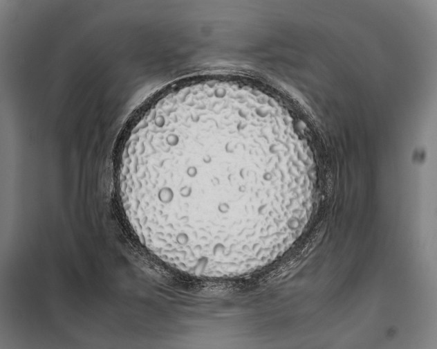 X0000099941267200806201112