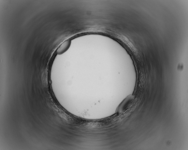 X0000099941268200806201112