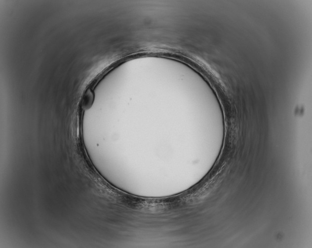 X0000099941269200806201112