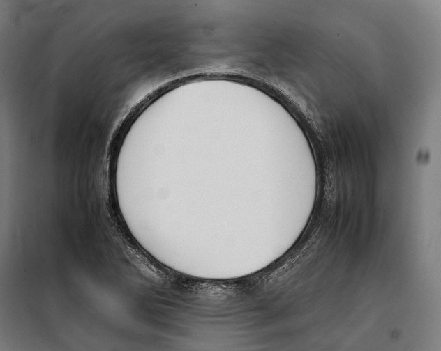 X0000099941270200806201112