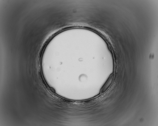 X0000099941271200806201112