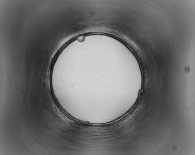 X0000099941272200806201112