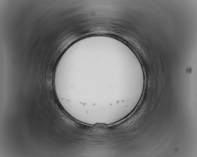 X0000099941273200806201112