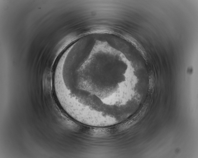 X0000099941274200806201112