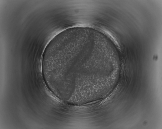 X0000099941276200806201112