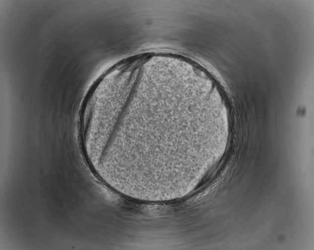 X0000099941277200806201112