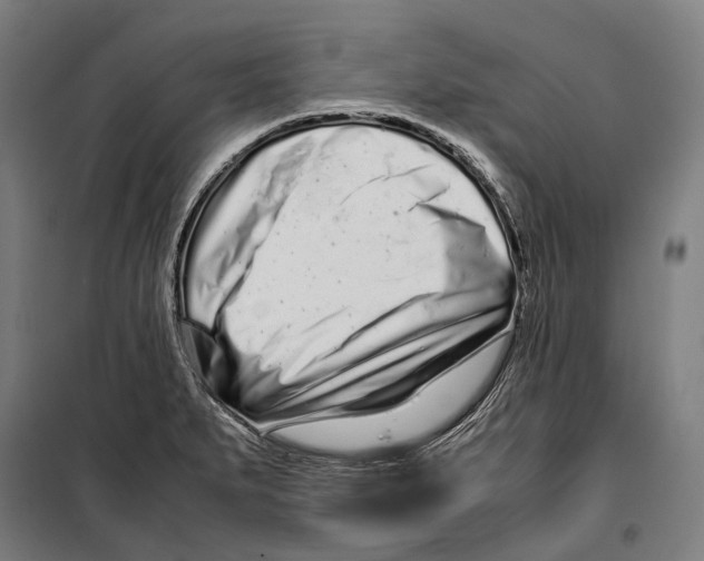 X0000099941279200806201112