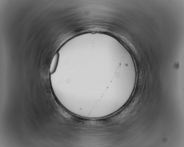 X0000099941281200806201112