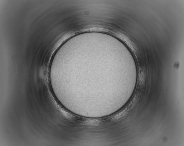 X0000099941282200806201112