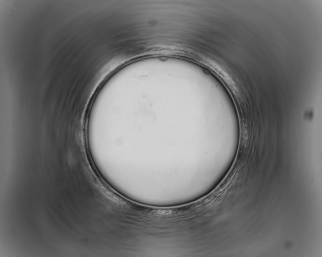 X0000099941283200806201112