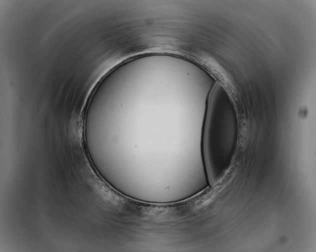 X0000099941284200806201112