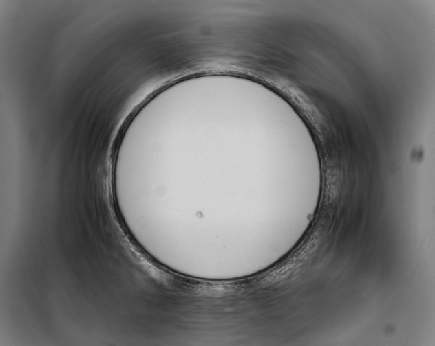 X0000099941286200806201111