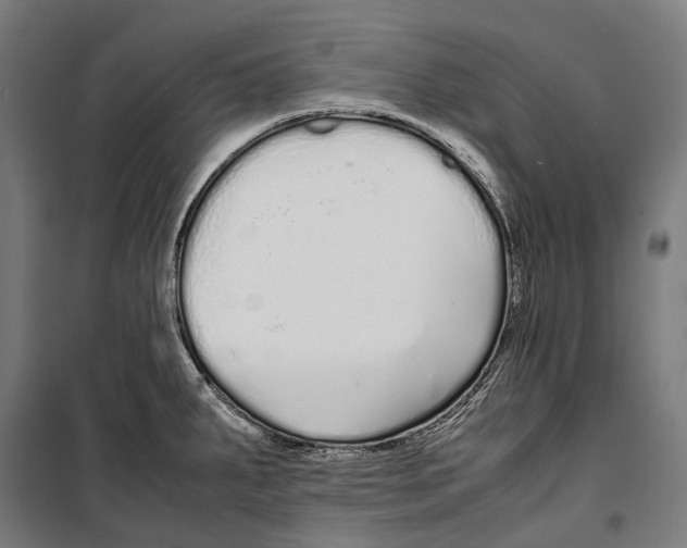 X0000099941287200806201111