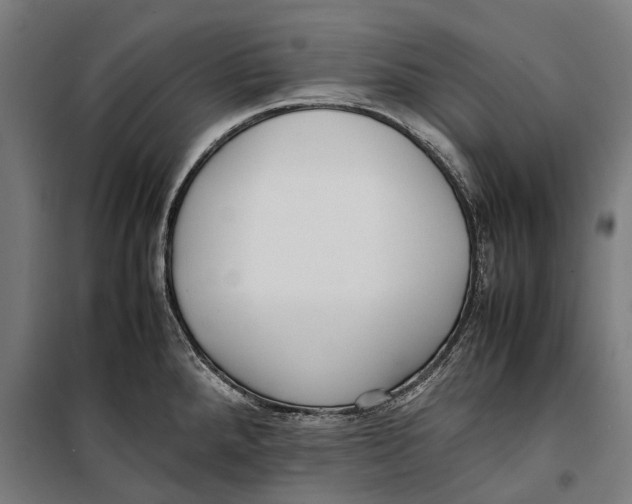 X0000099941288200806201111