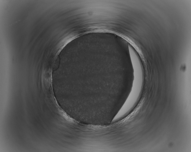 X0000099941289200806201111