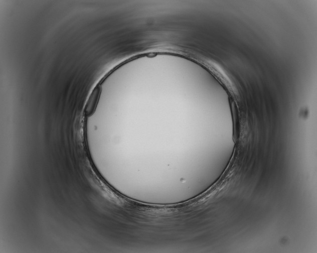 X0000099941292200806201111
