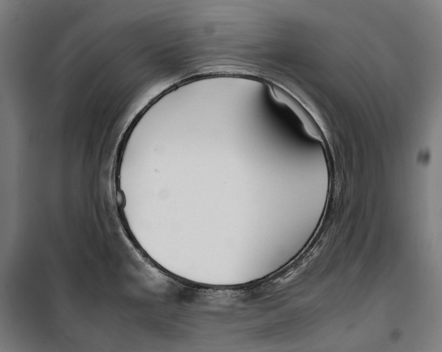 X0000099941293200806201111