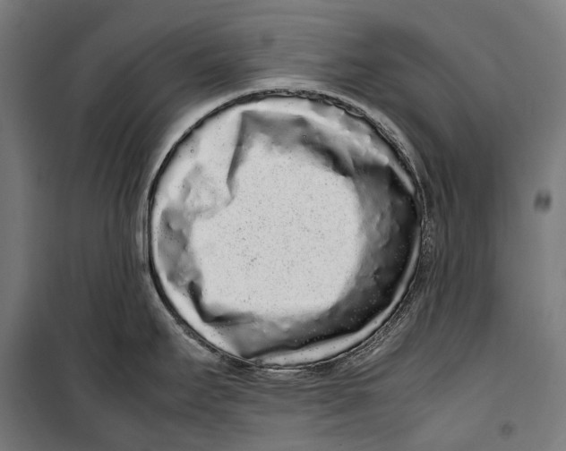 X0000099941295200806201111