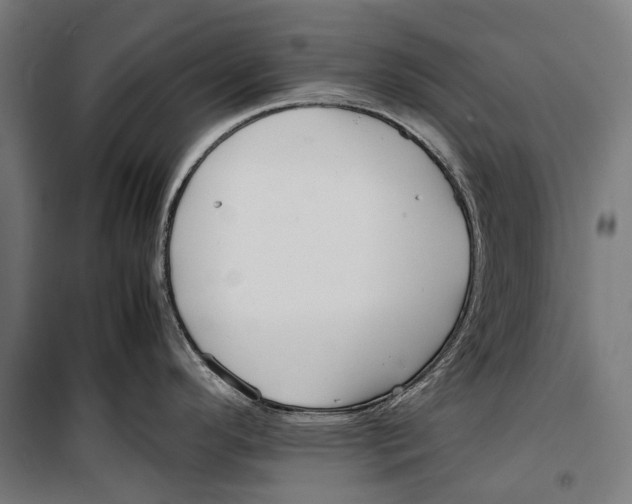X0000099941296200806201111