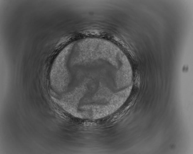 X0000099941297200806201111