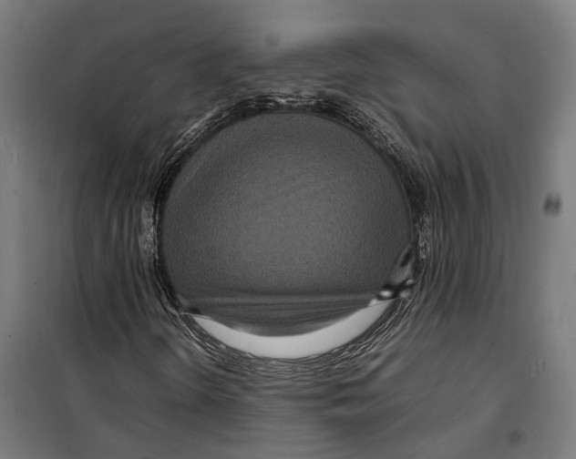 X0000099941298200806201111
