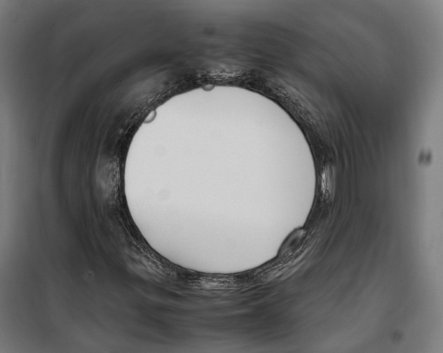 X0000099941299200806201111