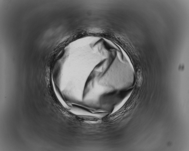 X0000099941301200806201111
