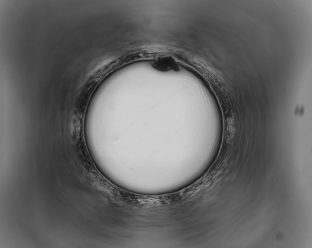 X0000099941302200806201111