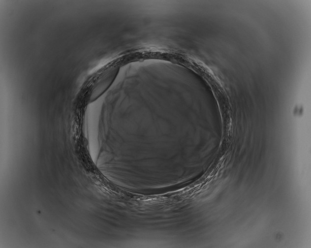 X0000099941303200806201111